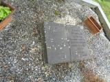 image of grave number 827455